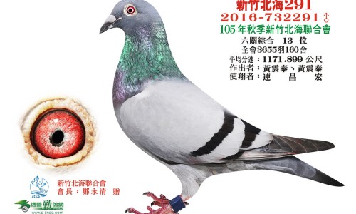 木瓜丰胸的功效是真的吗-木瓜丰胸的效果怎么样网 - 木瓜丰胸是真的吗,木瓜丰盈膏能丰胸吗