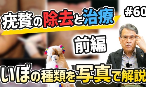 木瓜丰胸的功效是真的吗-木瓜丰胸的效果怎么样网 - 木瓜丰胸是真的吗,木瓜丰盈膏能丰胸吗